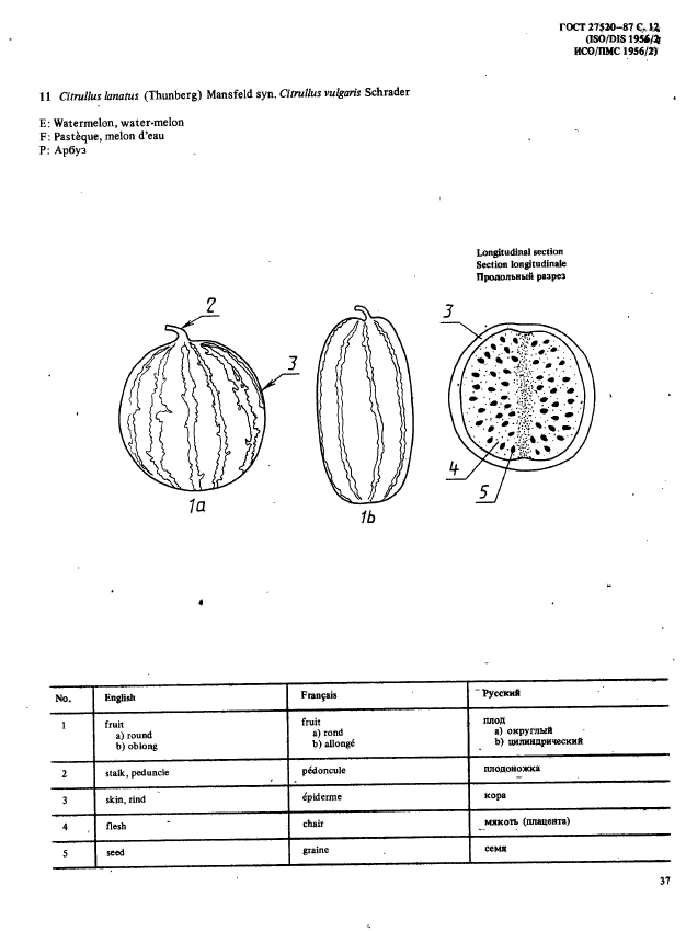  27520-87