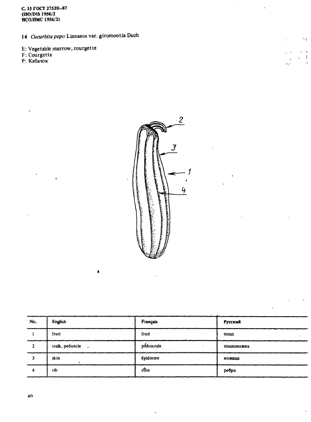  27520-87