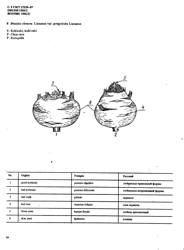  27520-87