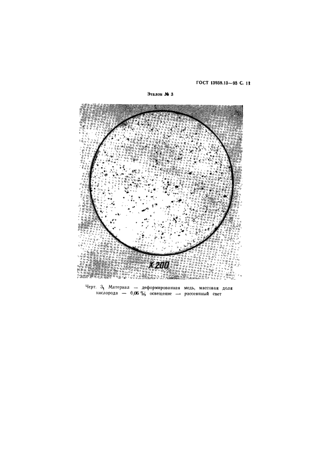  13938.13-93