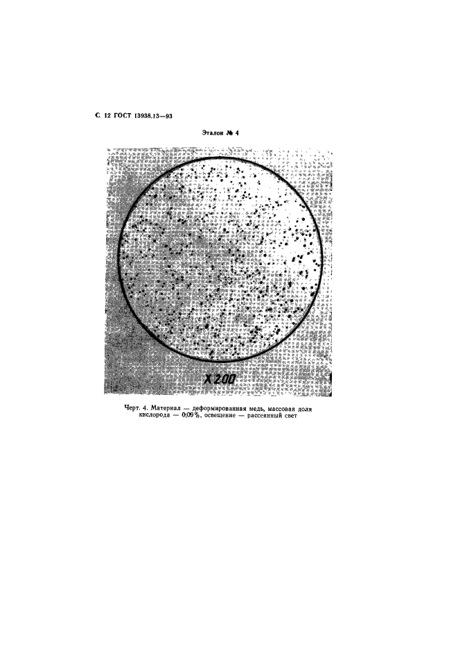  13938.13-93