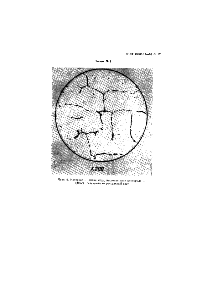  13938.13-93