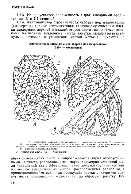  21816-89