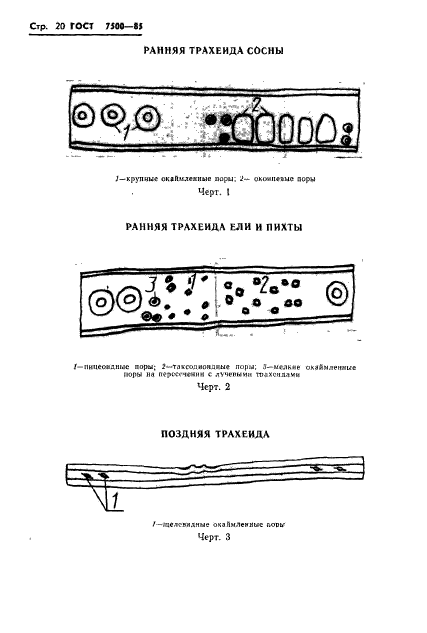  7500-85