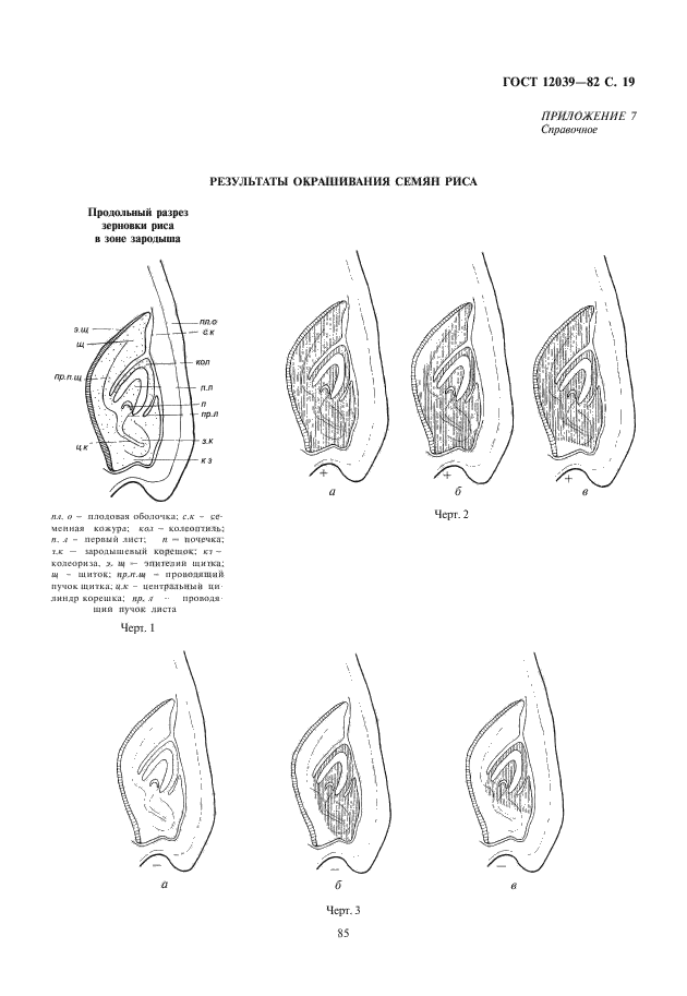  12039-82