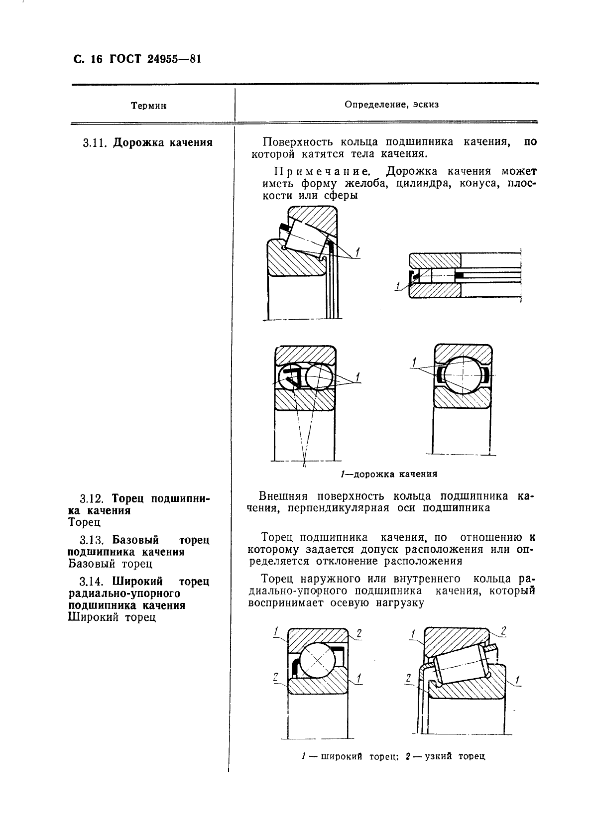  24955-81