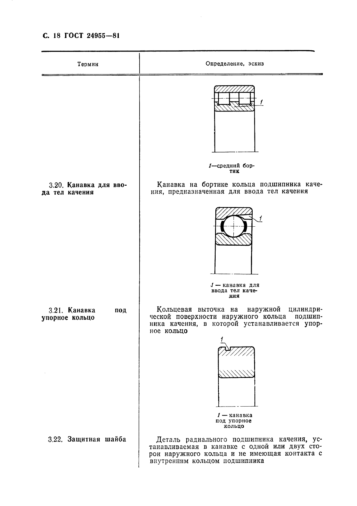  24955-81