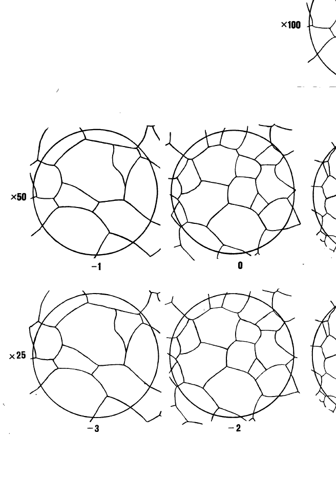  5639-82