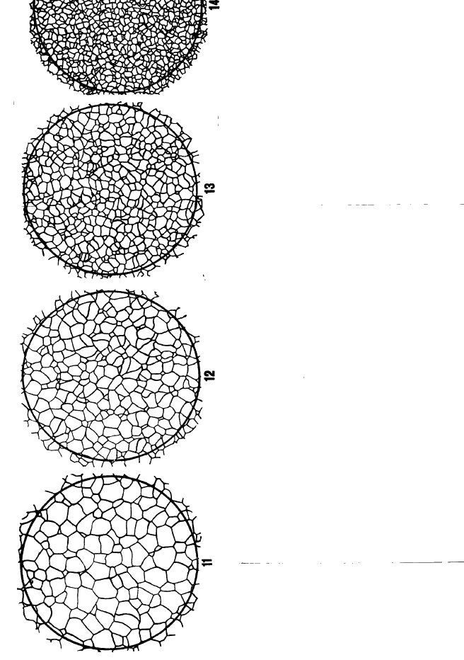  5639-82