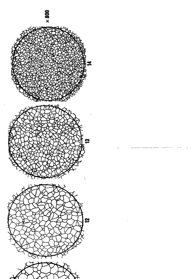  5639-82