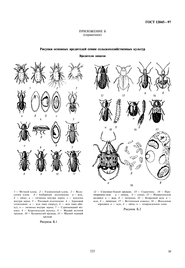  12045-97