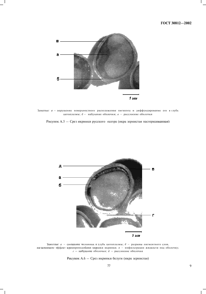  30812-2002