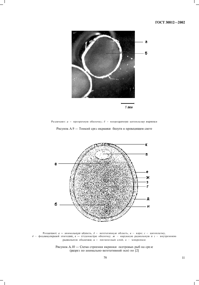  30812-2002