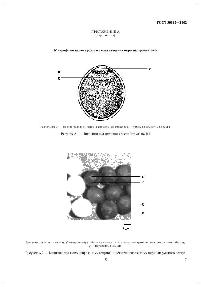  30812-2002