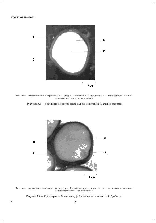  30812-2002